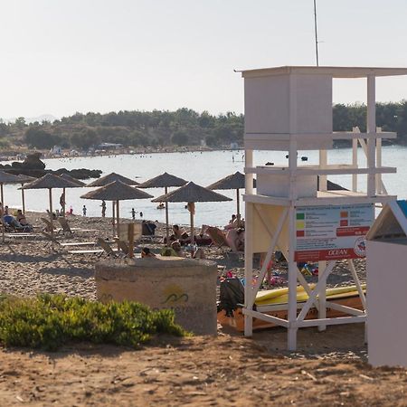 Nicky Studio Chania Káto Darátsos Eksteriør bilde